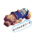 WON WON collection（個別スタンプ：10）