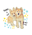 WON WON collection（個別スタンプ：22）