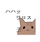 ネットスラングが好きな猫（個別スタンプ：17）