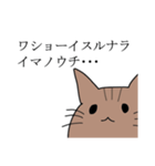 ネットスラングが好きな猫（個別スタンプ：39）