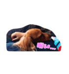 ミニチュア^^*（個別スタンプ：2）