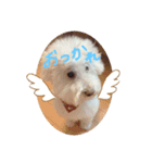 おちょのすたんぷ（個別スタンプ：2）