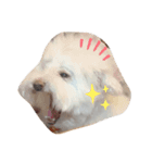 おちょのすたんぷ（個別スタンプ：3）