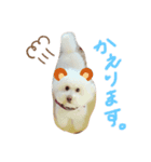 おちょのすたんぷ（個別スタンプ：5）