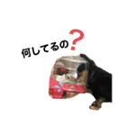 チュララStamp（個別スタンプ：3）