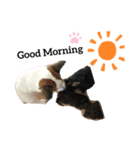 チュララStamp（個別スタンプ：4）