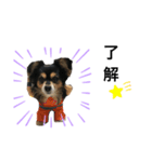 チュララStamp（個別スタンプ：6）