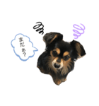 チュララStamp（個別スタンプ：7）