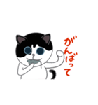 ネコのはっぱ（個別スタンプ：2）