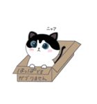 ネコのはっぱ（個別スタンプ：24）