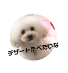 じわかわ犬もーちゃん（個別スタンプ：5）