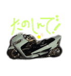 Bluster tokyo★（個別スタンプ：2）