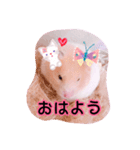 はるちゃんと動物達（個別スタンプ：3）