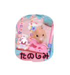 はるちゃんと動物達（個別スタンプ：5）