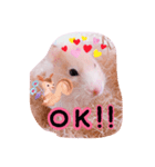はるちゃんと動物達（個別スタンプ：6）
