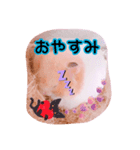 はるちゃんと動物達（個別スタンプ：7）