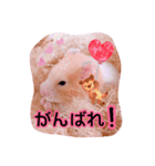 はるちゃんと動物達（個別スタンプ：8）