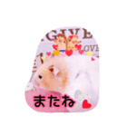 はるちゃんと動物達（個別スタンプ：11）