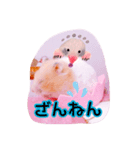 はるちゃんと動物達（個別スタンプ：13）