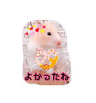 はるちゃんと動物達（個別スタンプ：14）