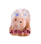 はるちゃんと動物達（個別スタンプ：15）