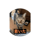 ととてて（個別スタンプ：2）