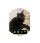 ととてて（個別スタンプ：5）