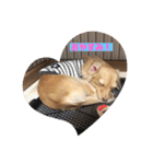 ❤️フラン2❤️（個別スタンプ：2）