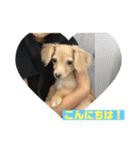 ❤️フラン2❤️（個別スタンプ：10）