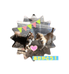 ❤️フラン2❤️（個別スタンプ：14）