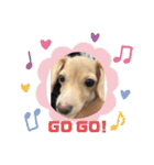 ❤️フラン2❤️（個別スタンプ：15）