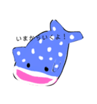 海の生き物様！（個別スタンプ：3）