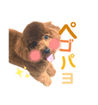 それいけ！くうちゃん！（個別スタンプ：5）