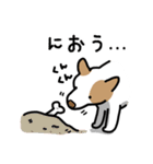 ぶちの犬（個別スタンプ：13）