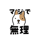 ぶちの犬（個別スタンプ：22）