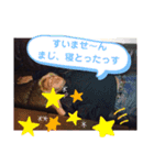 シロースタンプ3-2（個別スタンプ：4）