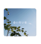 ふわふわすかい（個別スタンプ：11）
