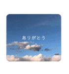 ふわふわすかい（個別スタンプ：14）
