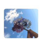ふわふわすかい（個別スタンプ：16）