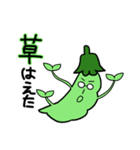 おまめ先生（個別スタンプ：5）