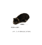 ねこねこ4024（個別スタンプ：8）