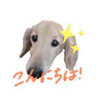 まいにち はっぴぃ♡（個別スタンプ：1）