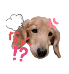 まいにち はっぴぃ♡（個別スタンプ：4）