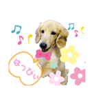 まいにち はっぴぃ♡（個別スタンプ：7）