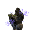 凌輔2（個別スタンプ：3）