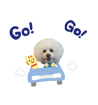 かわいすぎるハッピー（個別スタンプ：3）