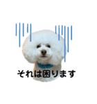 かわいすぎるハッピー（個別スタンプ：4）