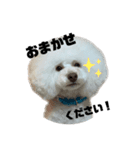 かわいすぎるハッピー（個別スタンプ：7）