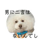 かわいすぎるハッピー（個別スタンプ：14）