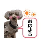 チャーちゃんのスタンプ（個別スタンプ：1）